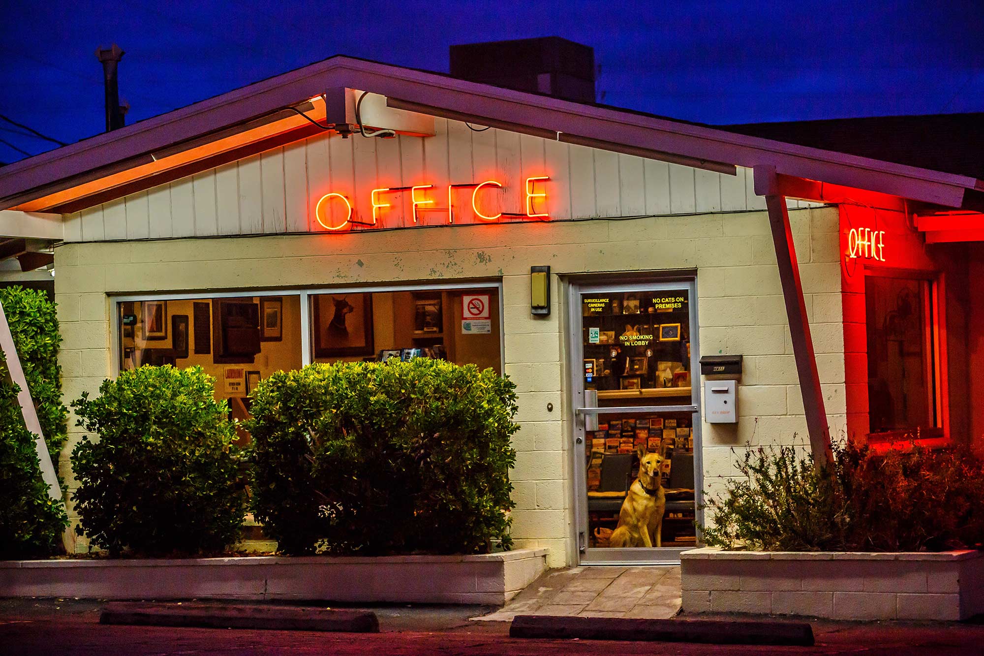 Hilltop Motel, Kingman, AZ - 1/9