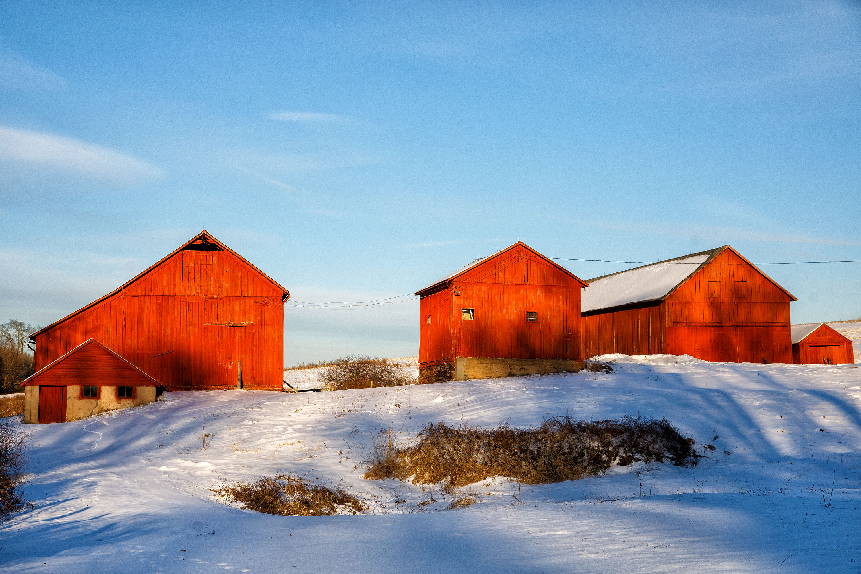 Suffield, CT - 2/1