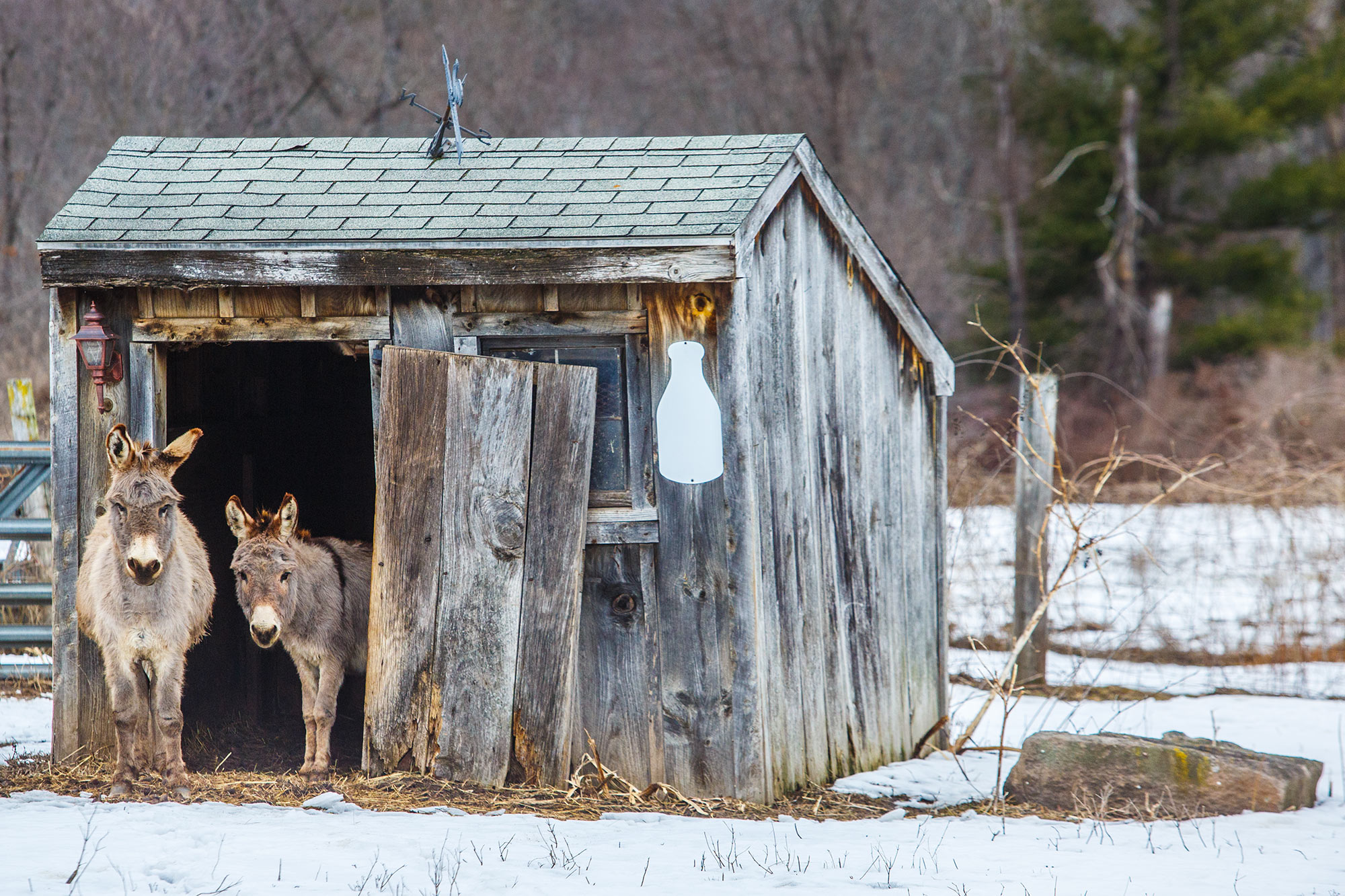 Southwick, MA - 2/19/16