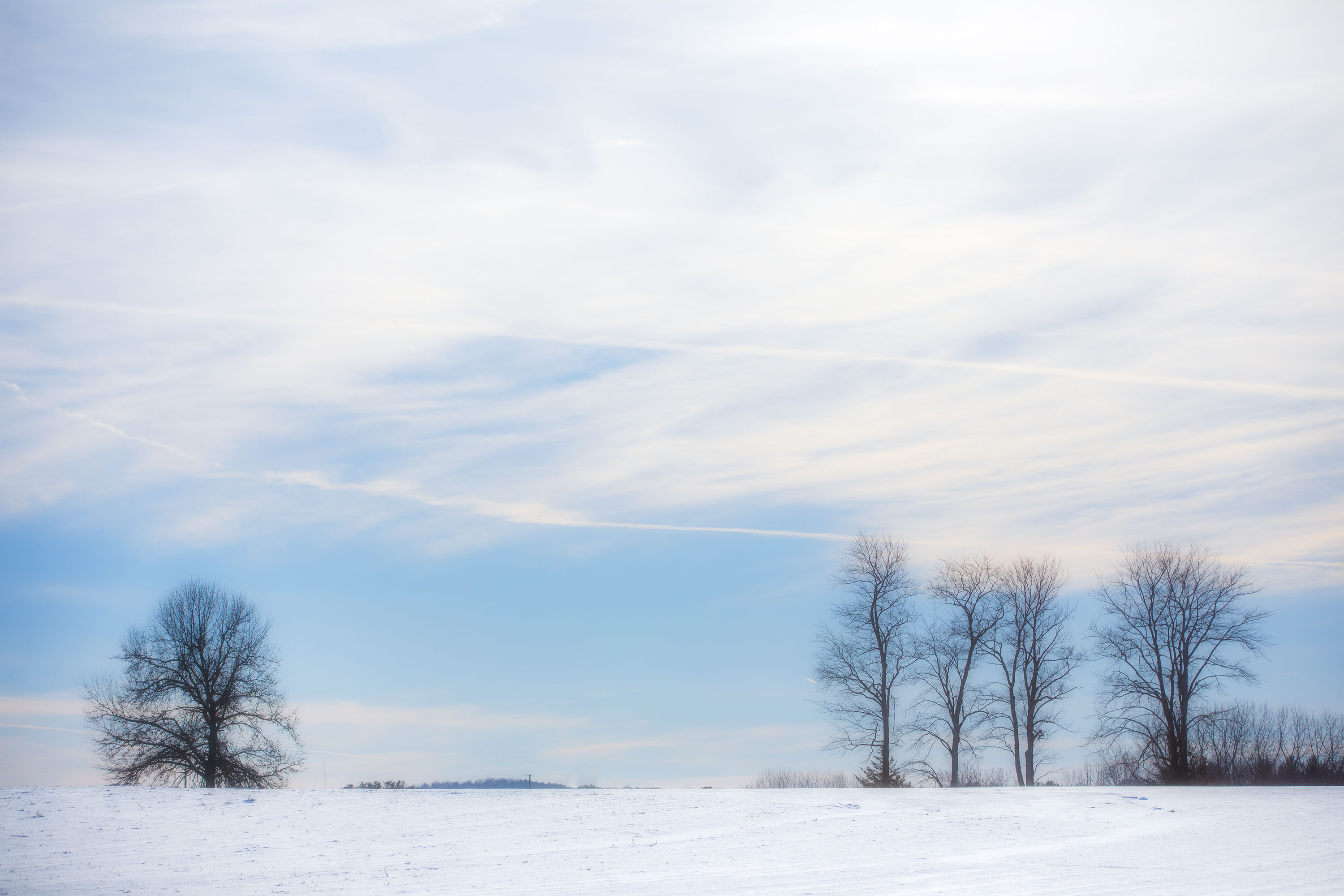 Feeding Hills, MA - 2/19