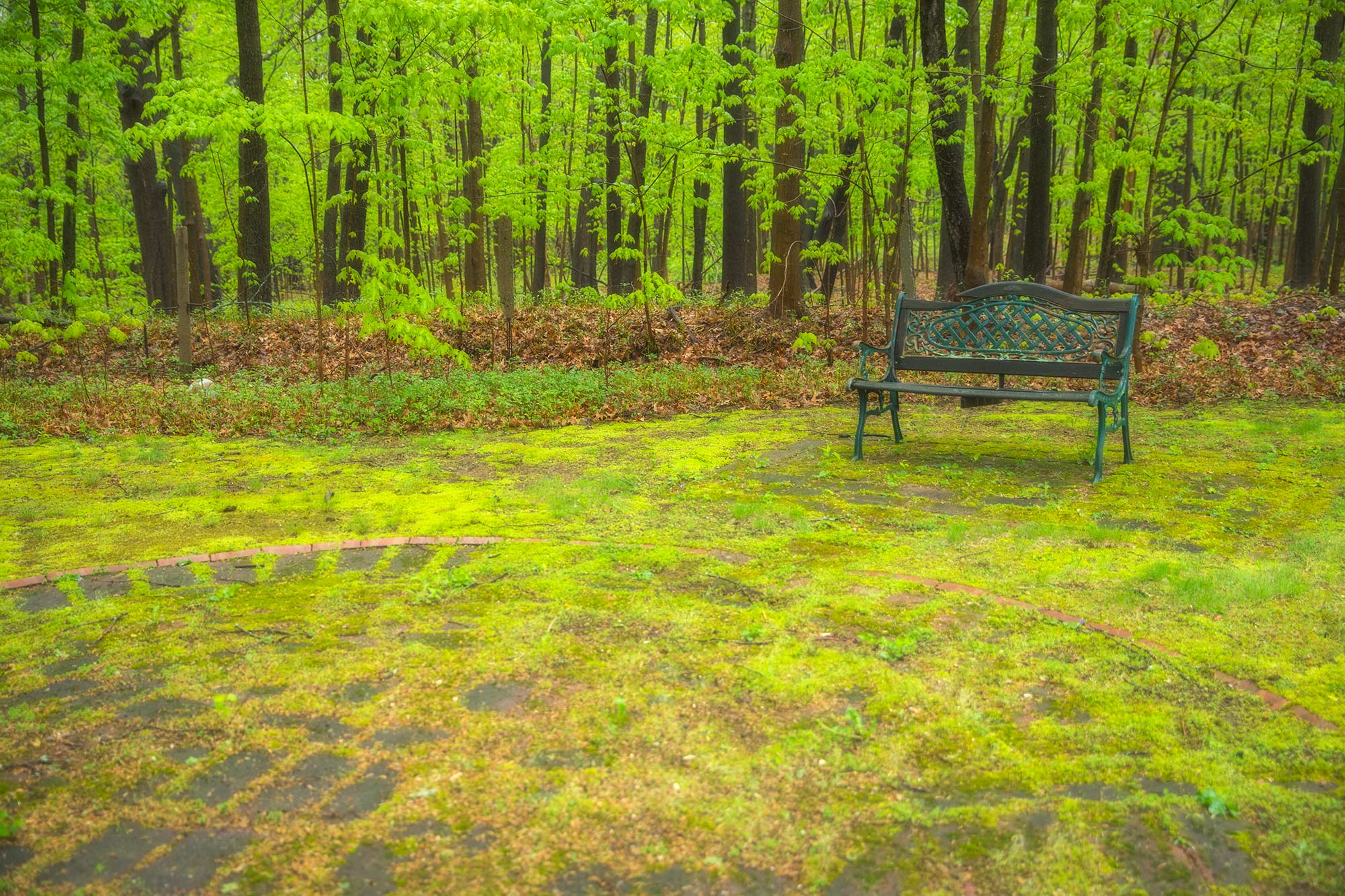 Avon, CT - 5/5