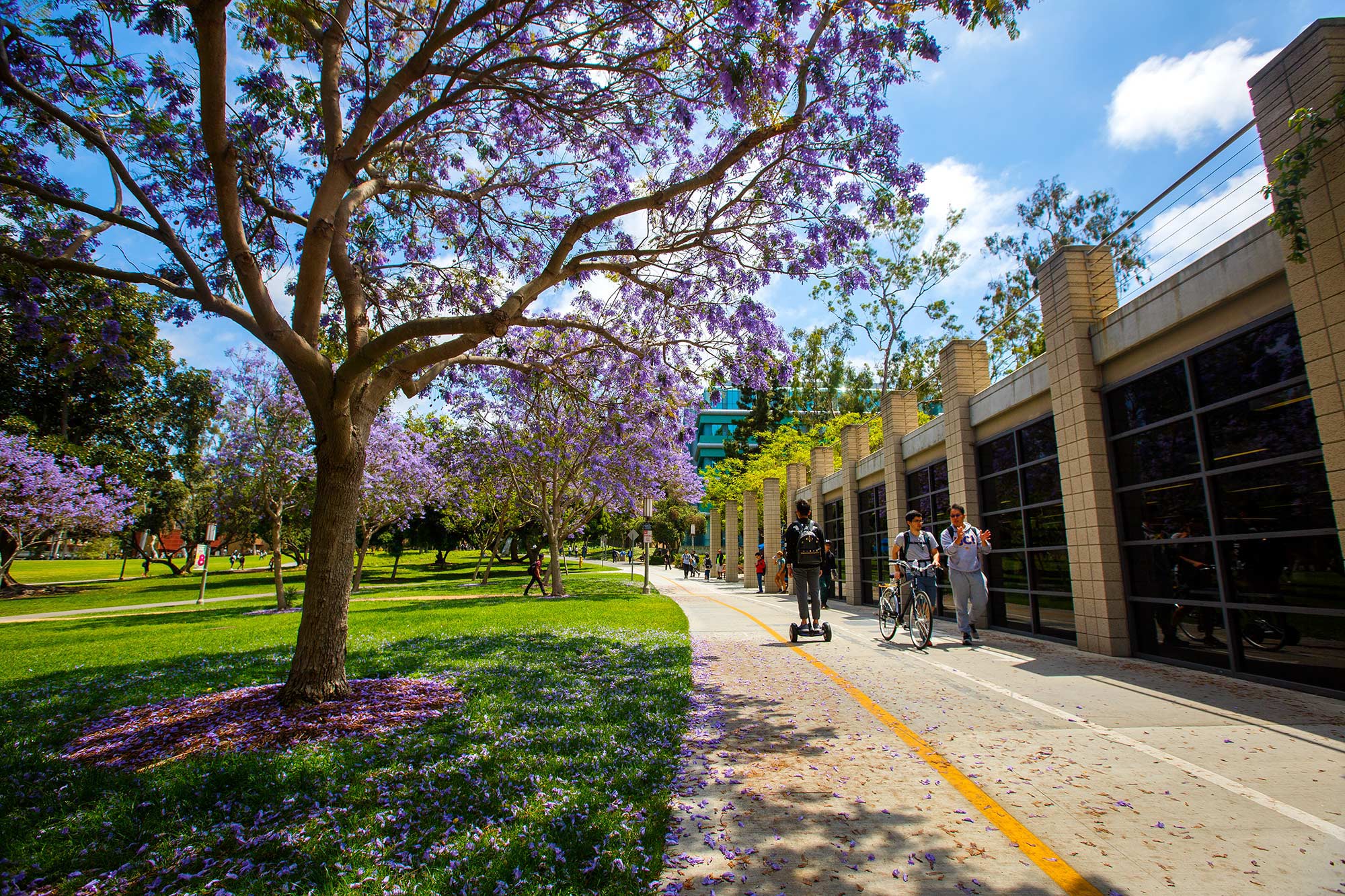 UC-Irvine, Irvine, CA - 5/19