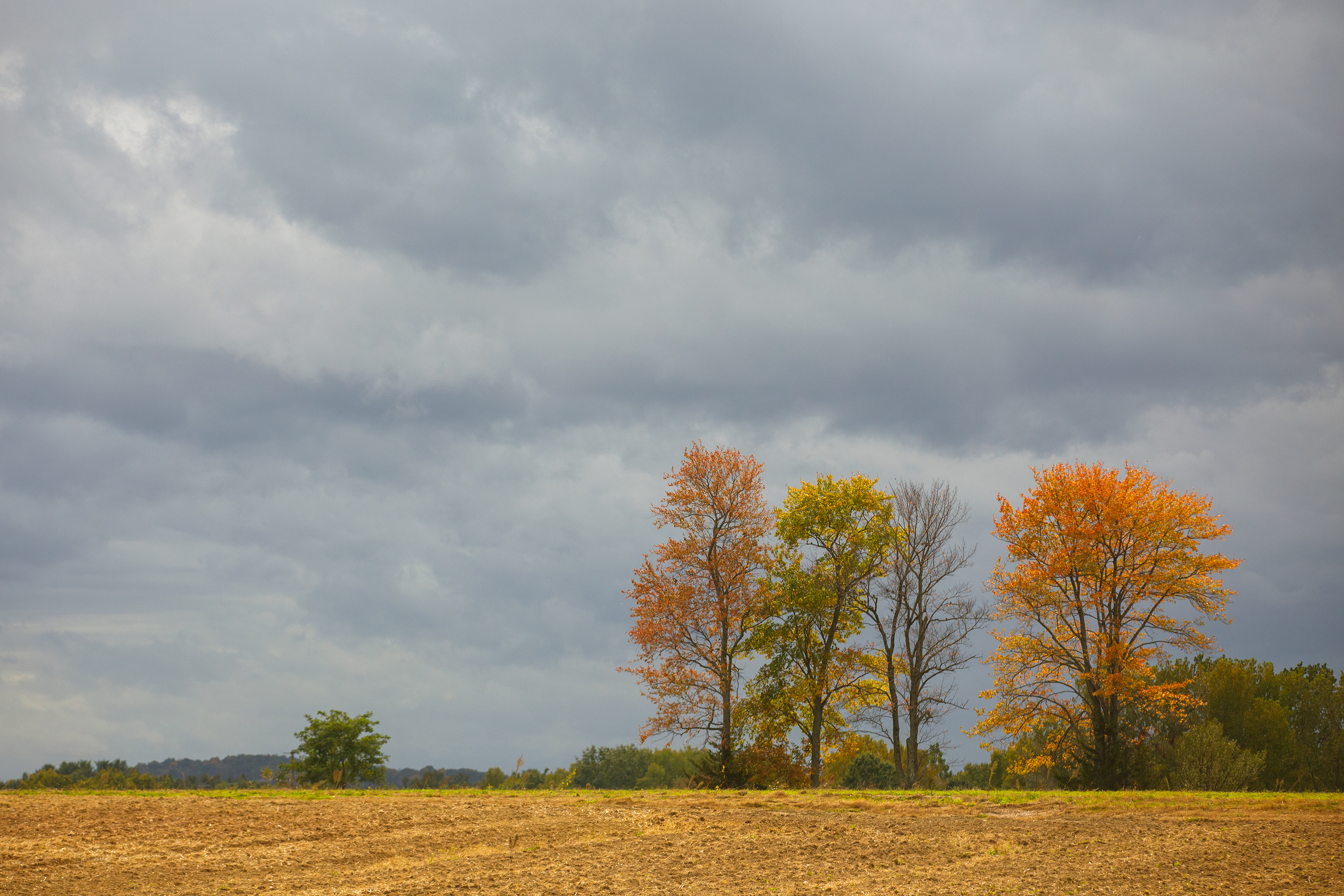 Feeding Hills, MA - 10/7