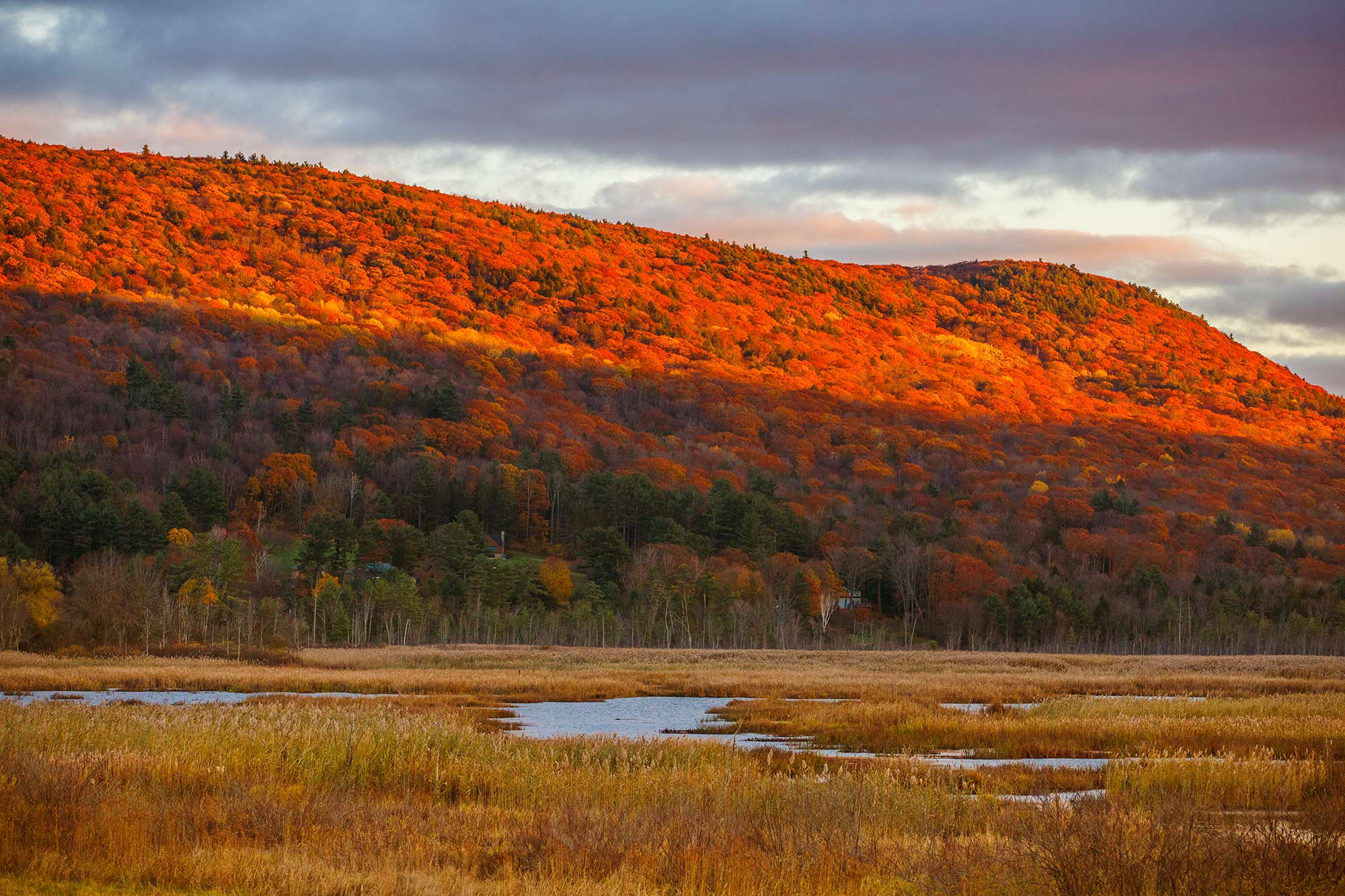 Stockbridge, MA- 11/6