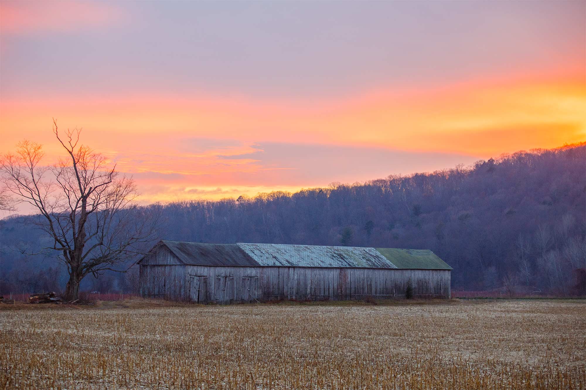 Feeding Hills, MA - 12/11