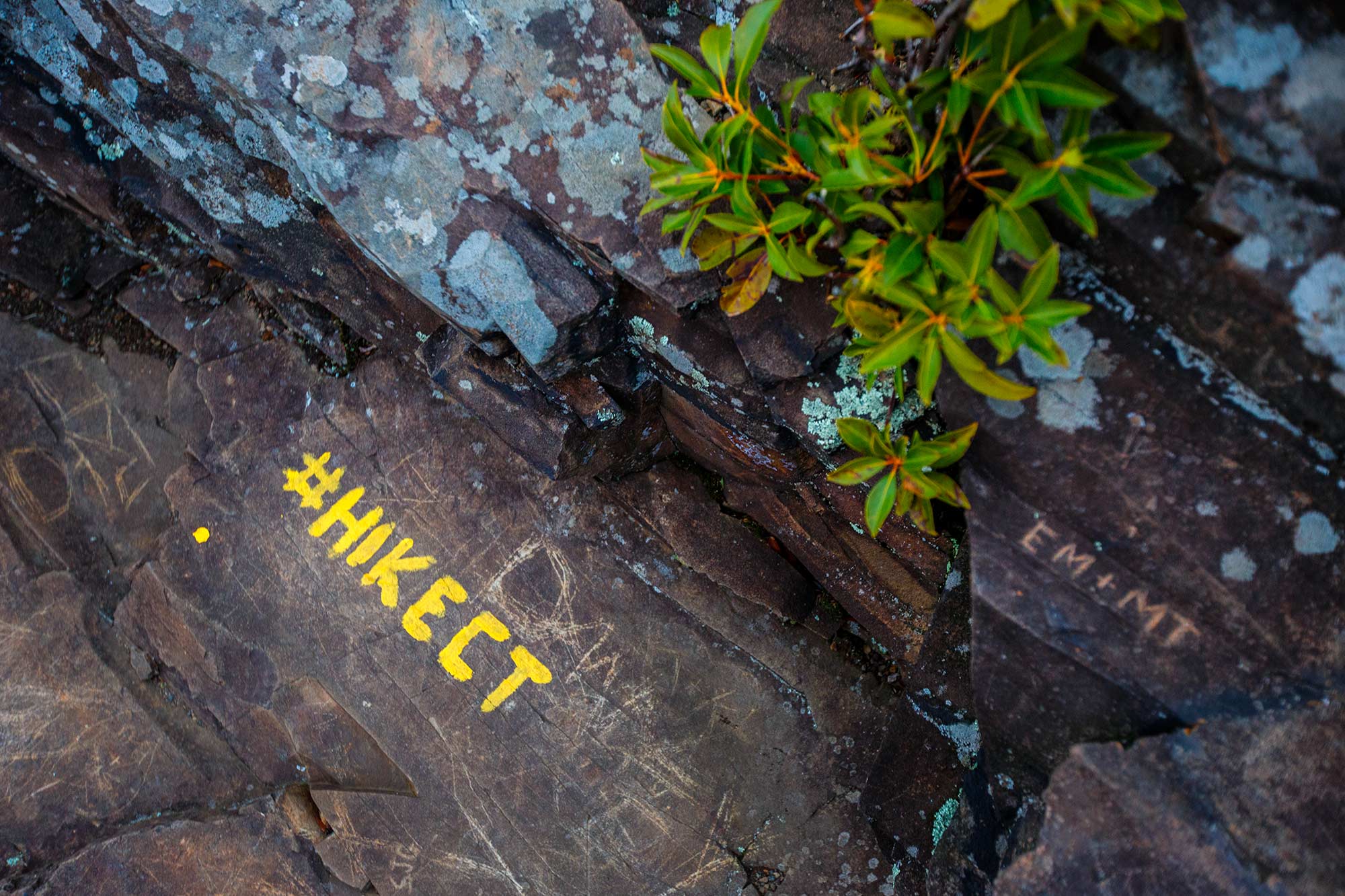 #HIKECT, Talcott Mountain State Park, Simsbury, CT - 12/15