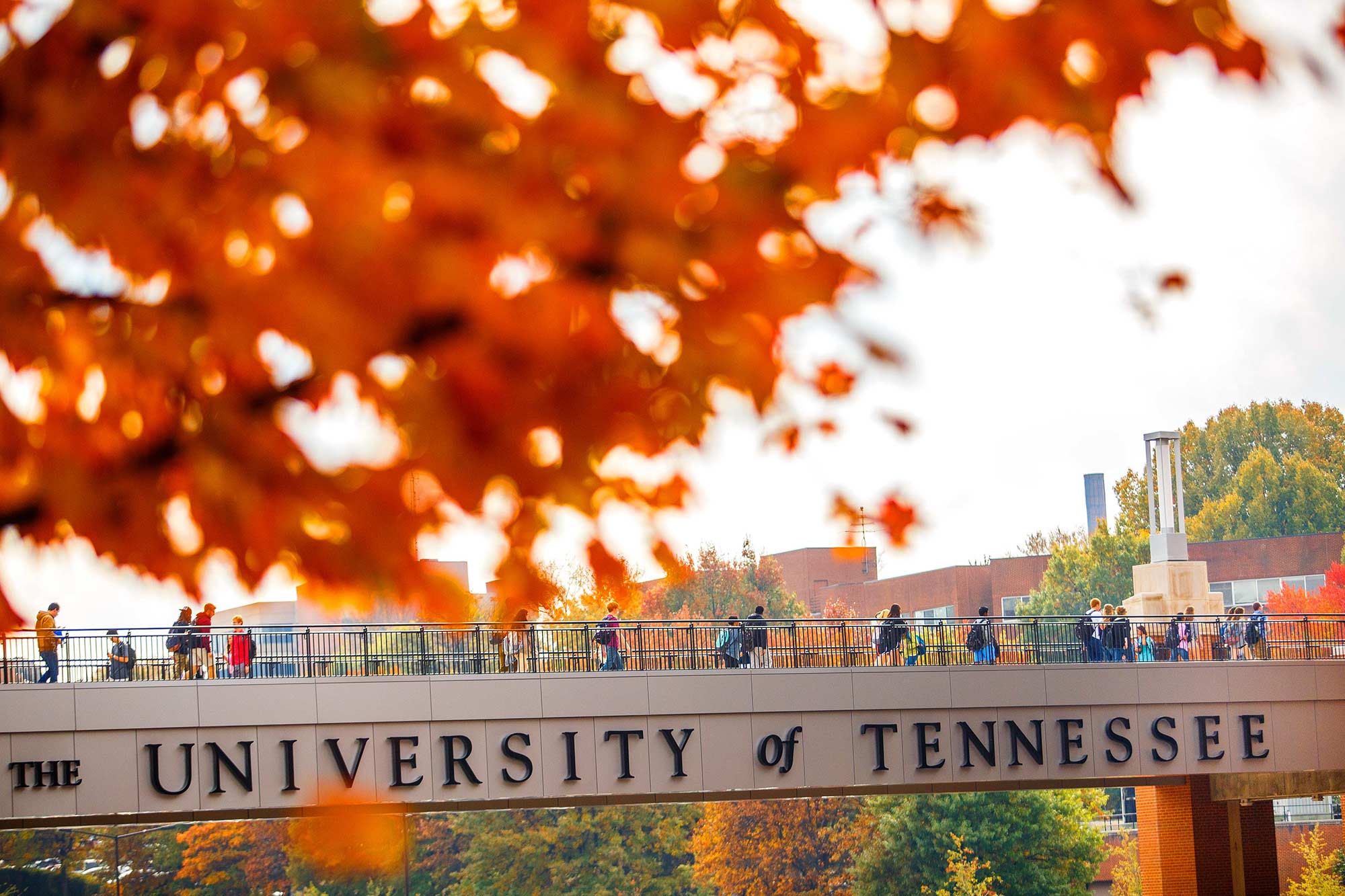 University of Tennessee, Knoxville, TN