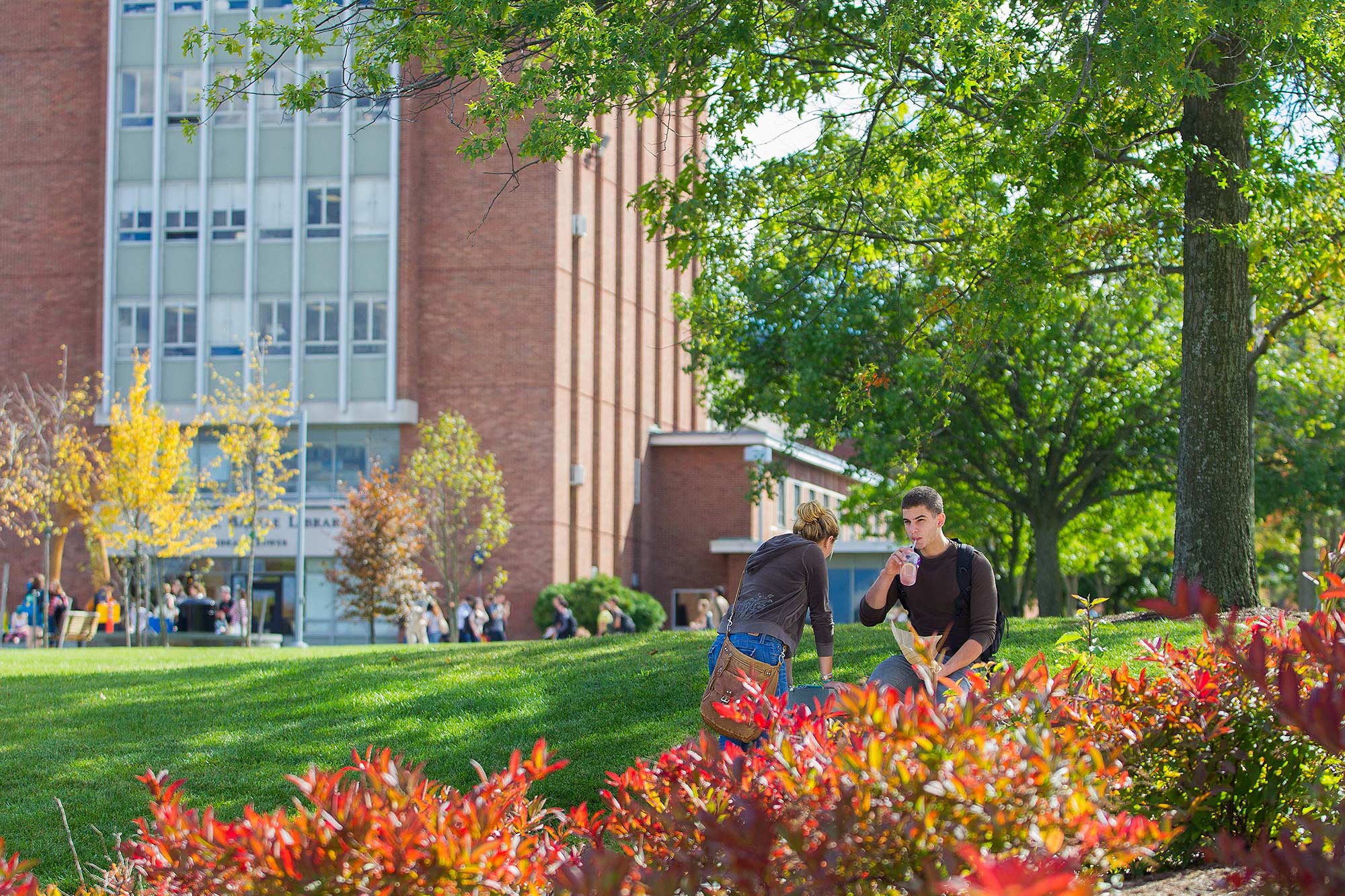 Binghamton University, Binghamton, NY