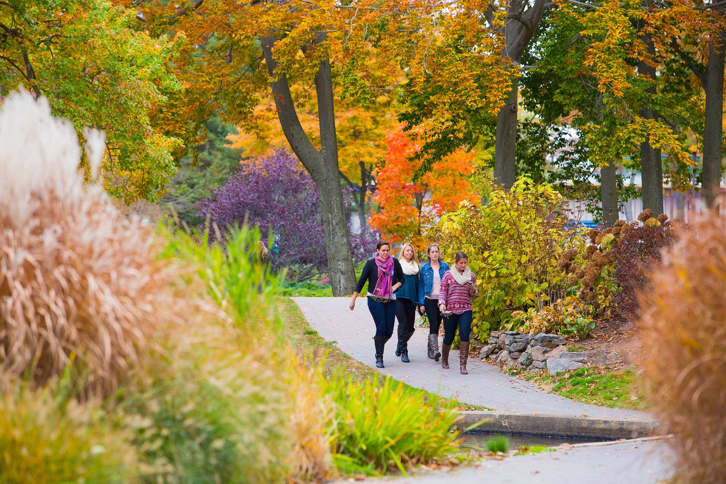 Endicott College, Beverly, MA