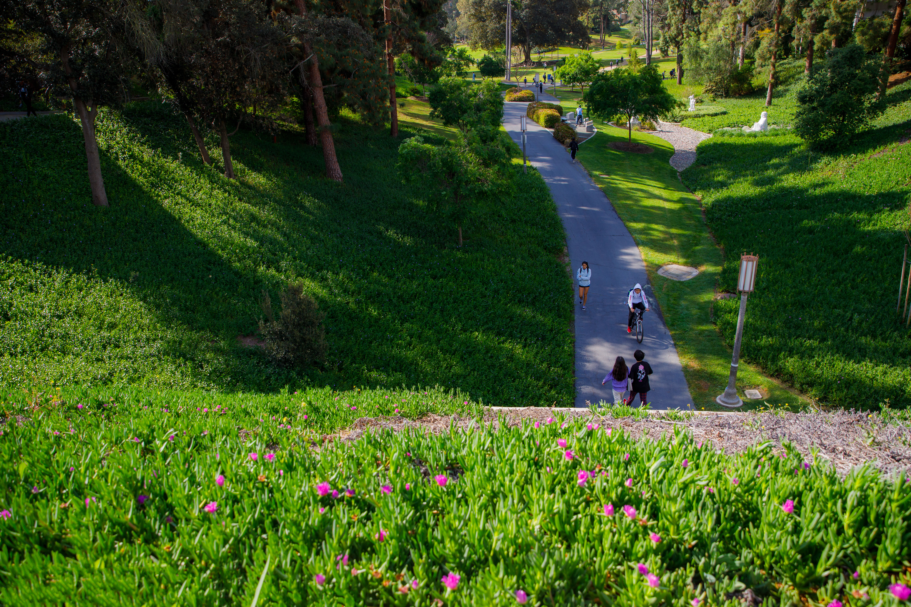 UC Irvine