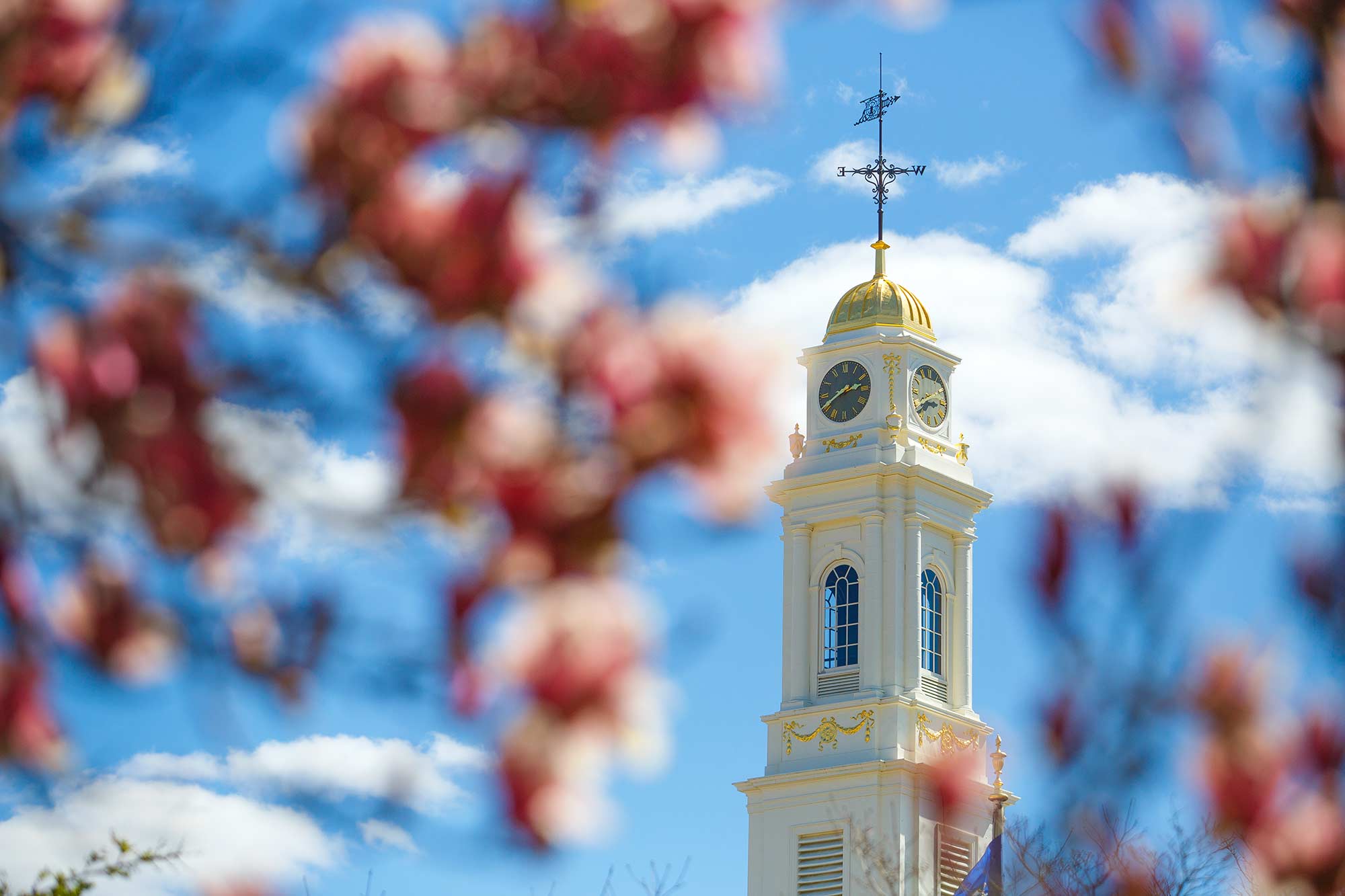 Spring in Waterbury, CT - 4/25/15