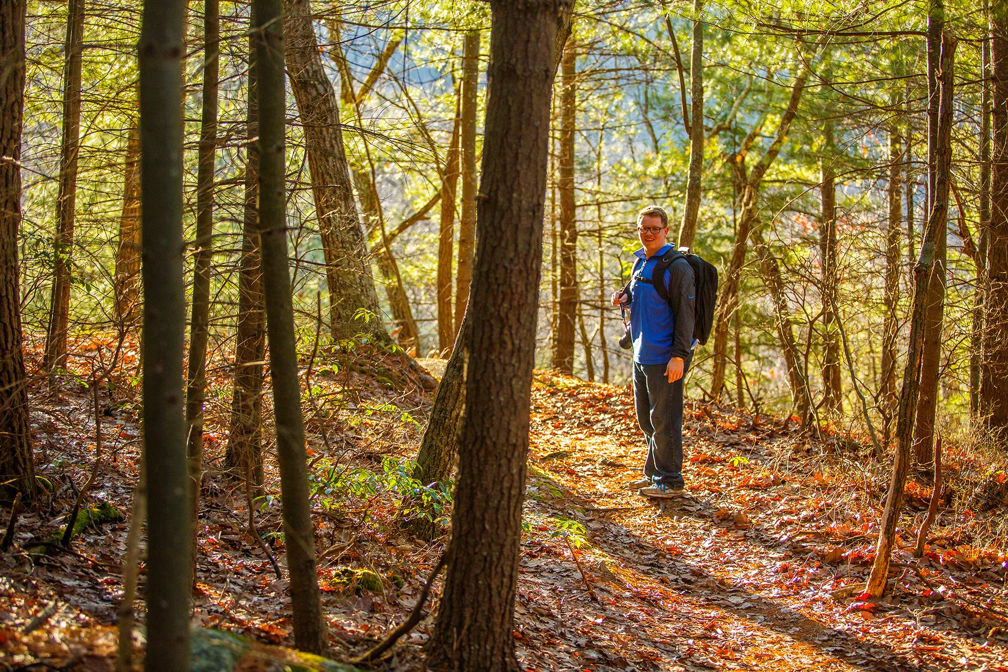 Appalachian Trail, Cornwall, CT 12/26/14