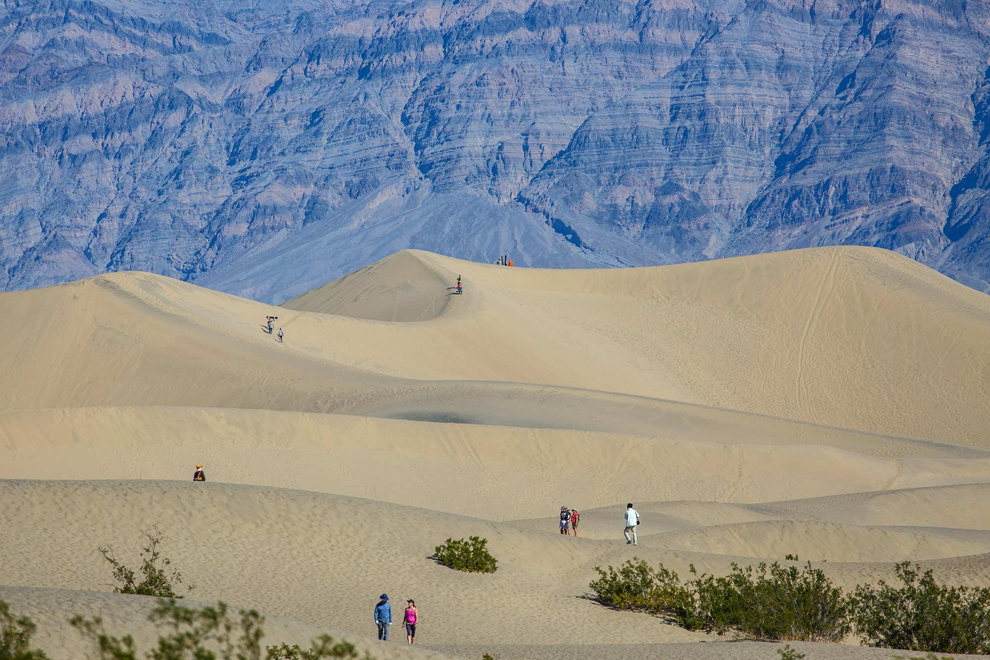 Sand Dunes, Death Valley, CA - 2/21/15
