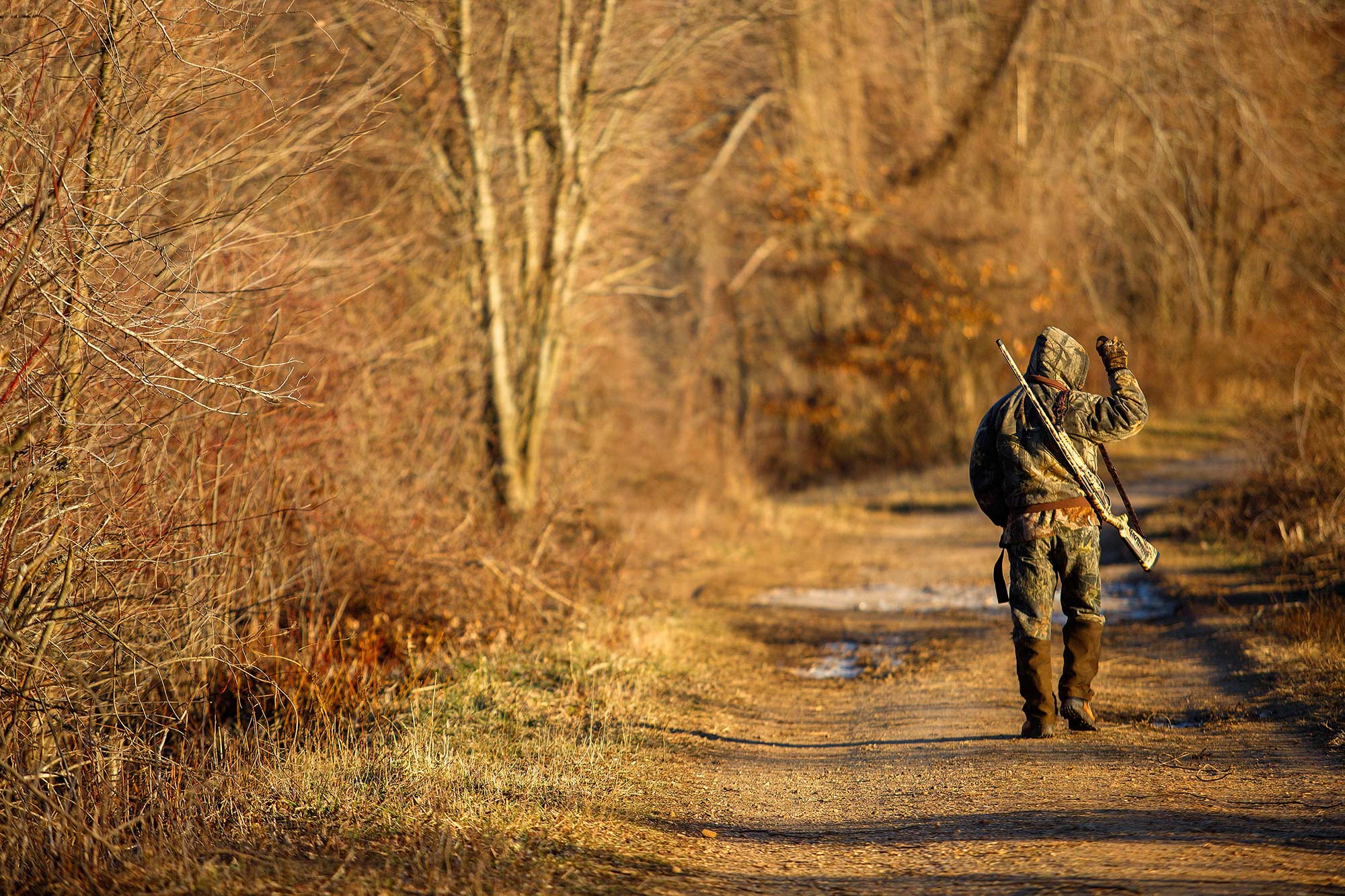 Duck Season, Wabbit Season - 1/1/15
