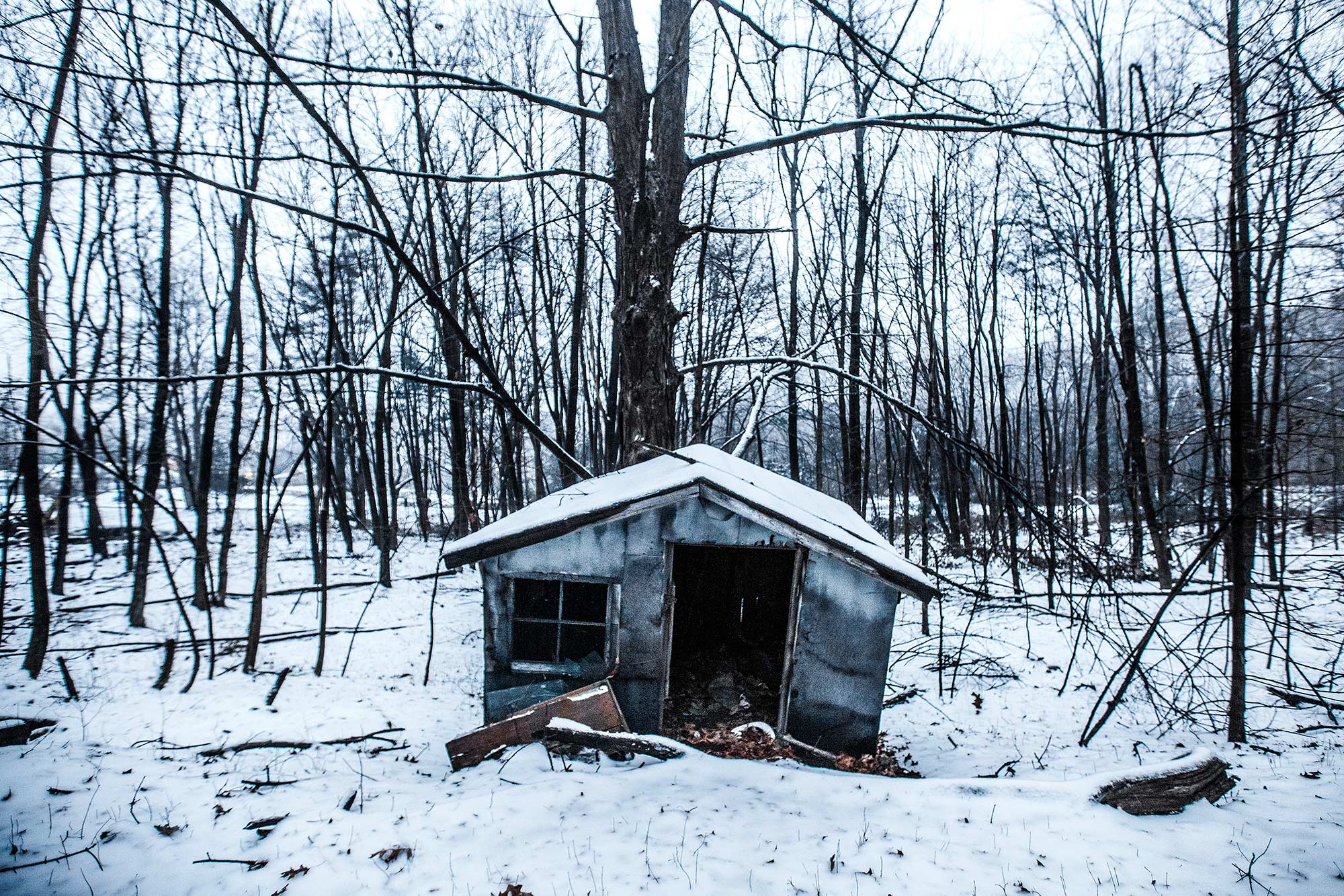 Almost a black and white day, Avon, CT - 1/4/15