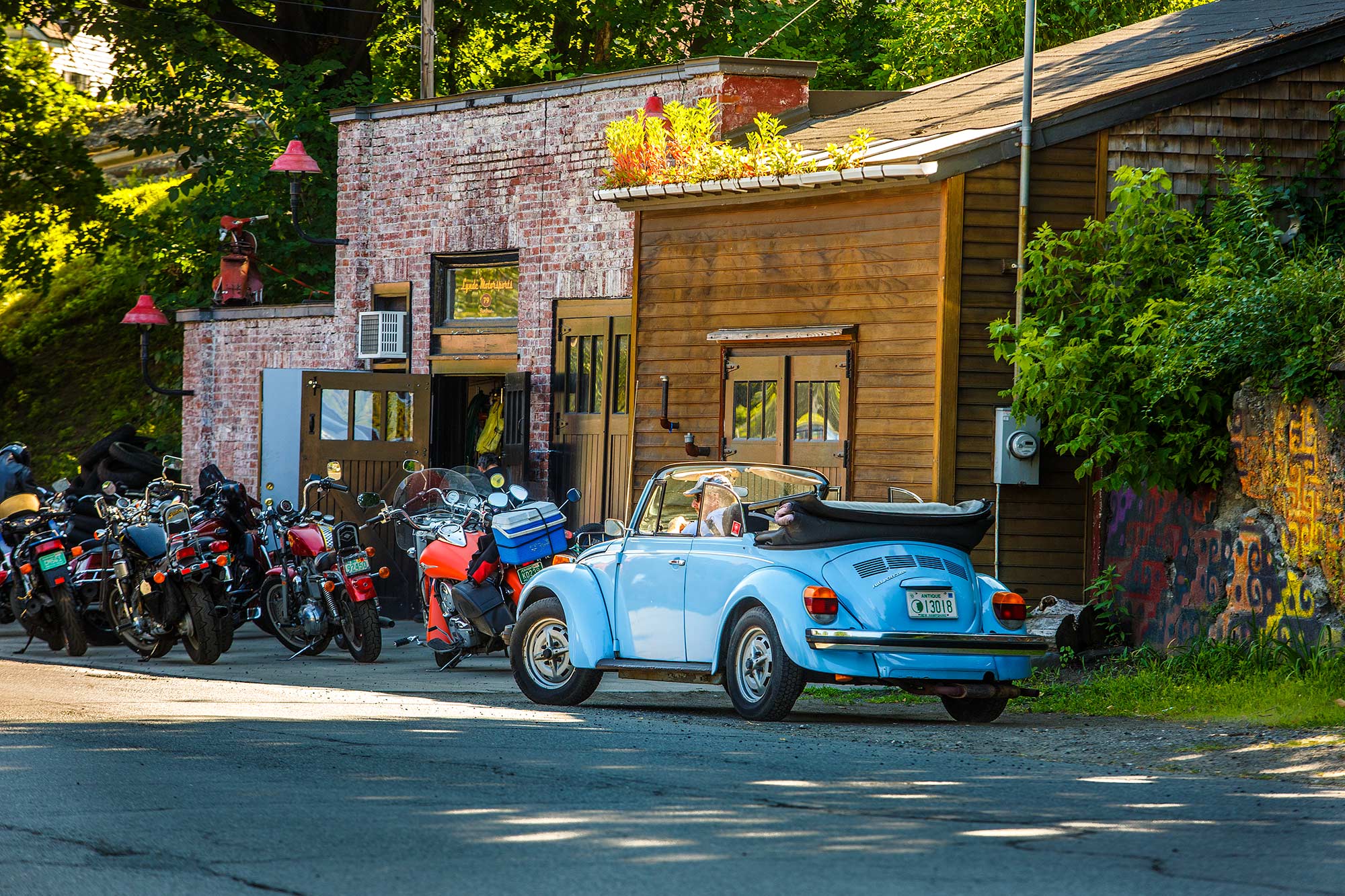 Bug in Brattleboro, Barttleboro, VT - 7/16/15