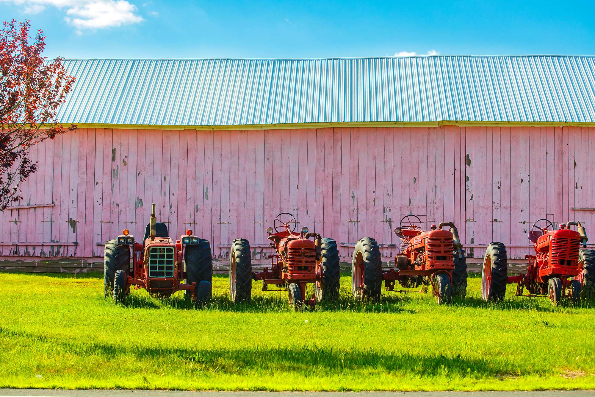 Pink Barn, Suffield, CT - 6/4/15