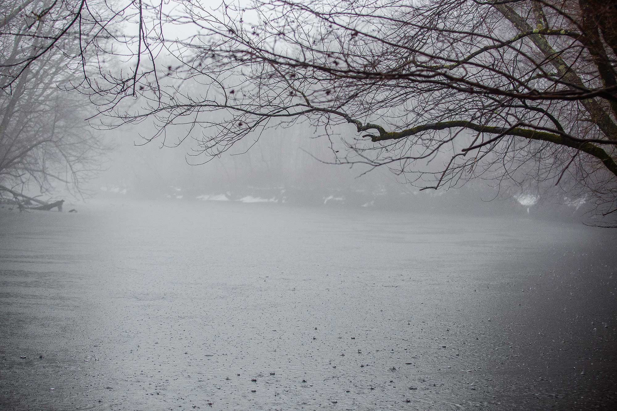 Foggy Farmington, Avon, CT - 3/26/15