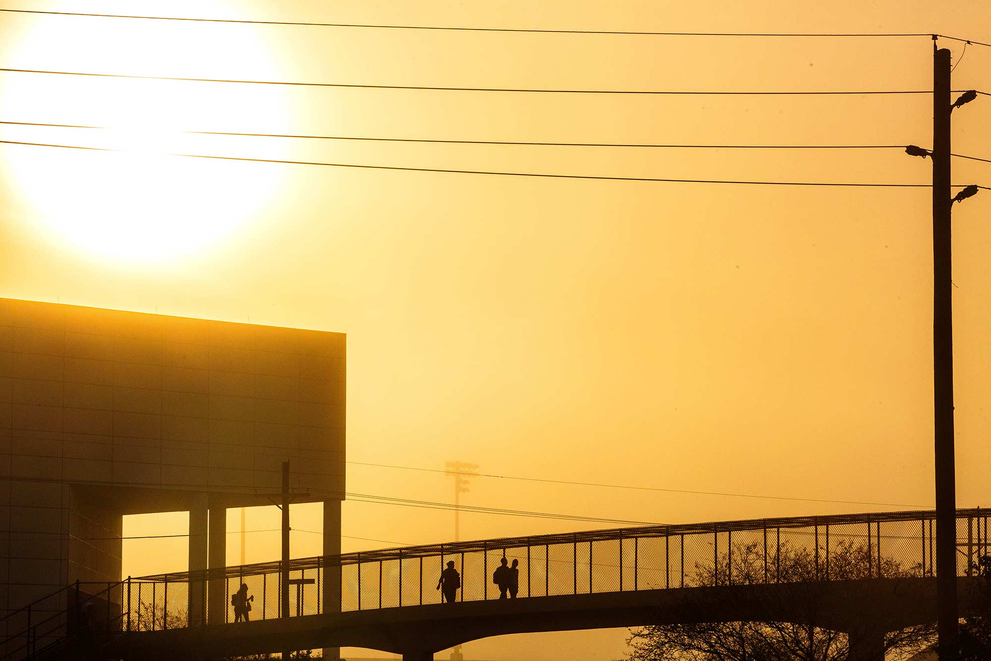 Foggy Morning at Lamar University, Beaumont, TX