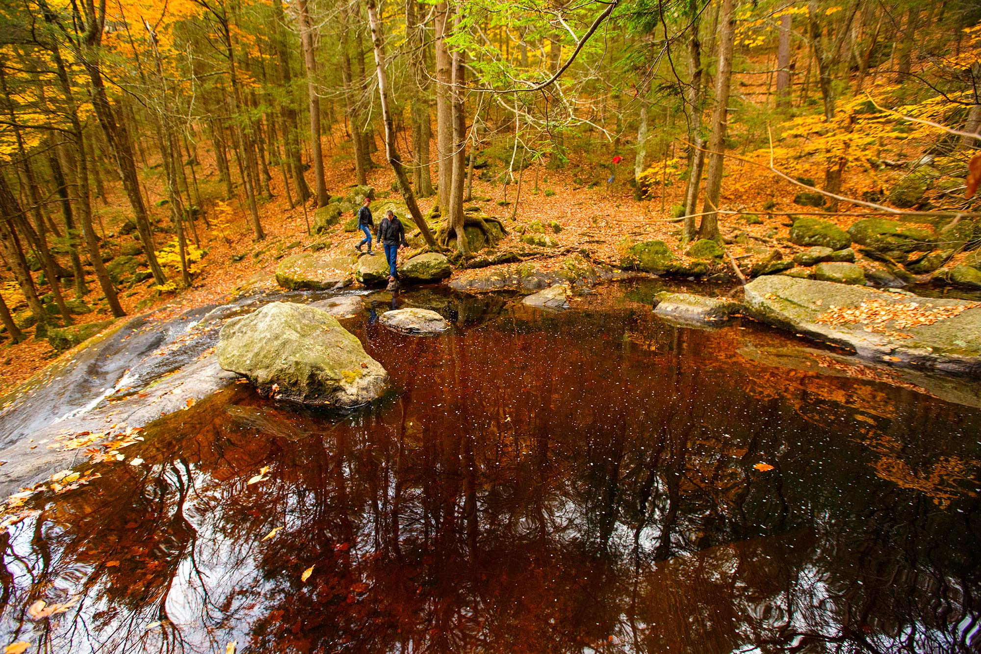 Enders State Forest, Granby, CT - 11/1