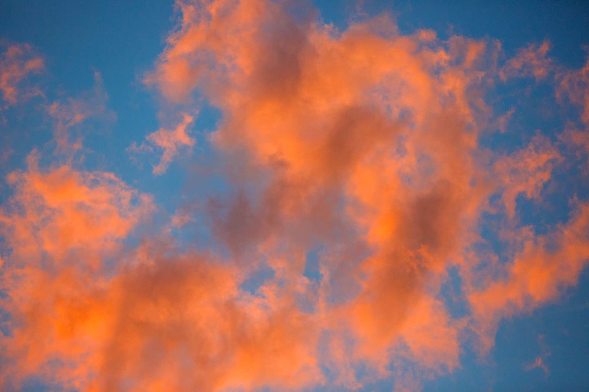 Look Up, Avon, CT - 10/29/15