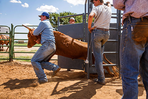 South Plains College