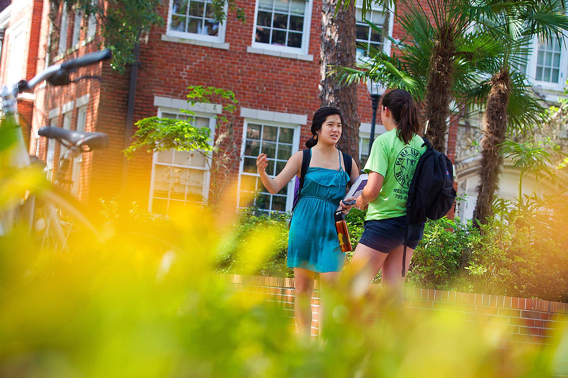 University of Florida, Gainesville, FL