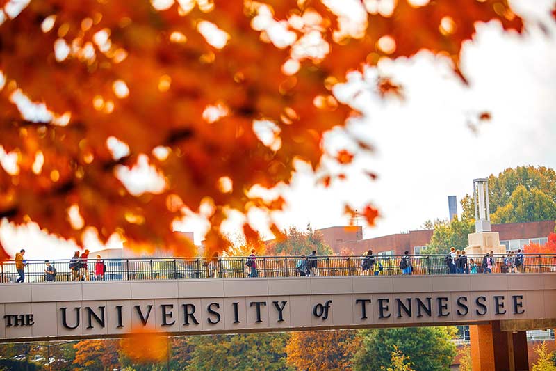 University of Tennessee